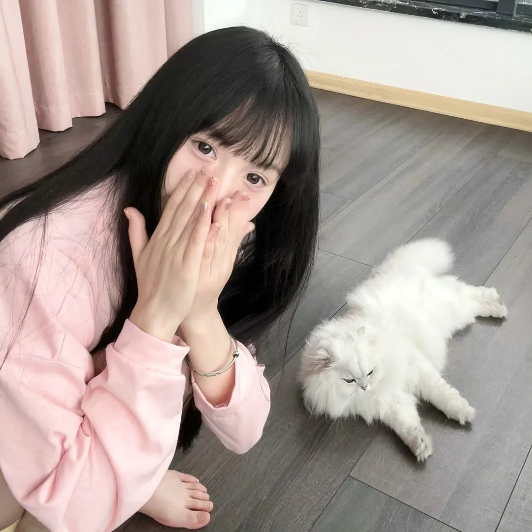 拼盘